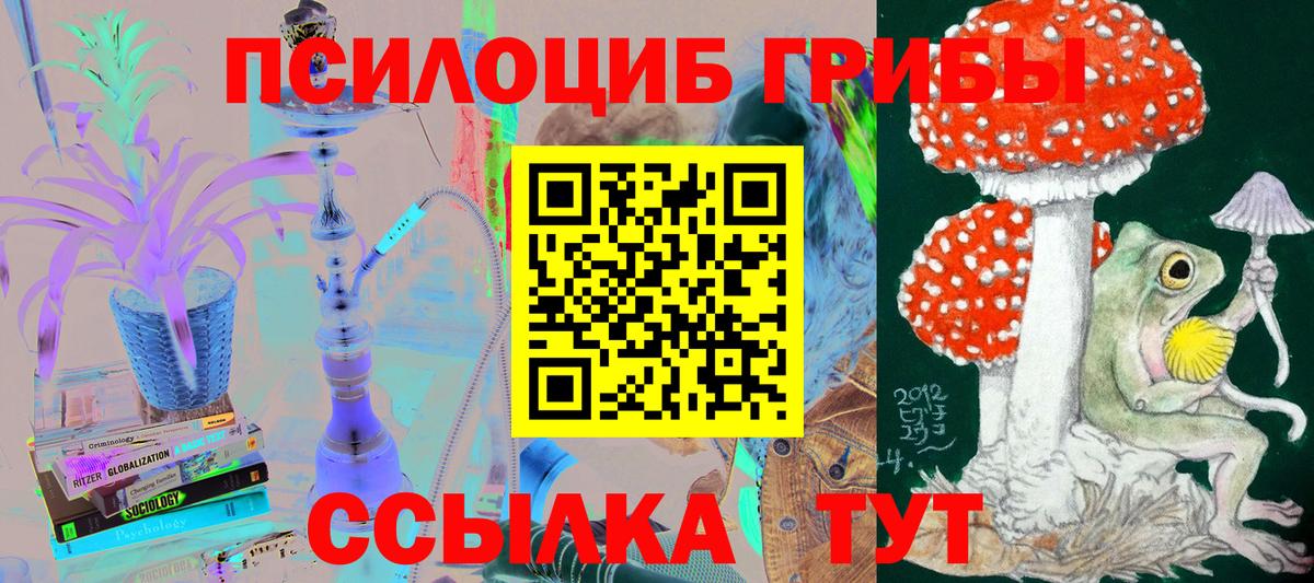 Унеча  Галлюциногенные грибы Magic Shrooms  Вход с VPN 